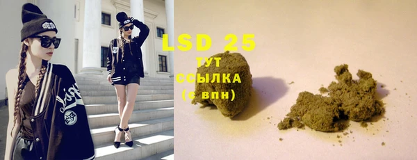 PSILOCYBIN Покров