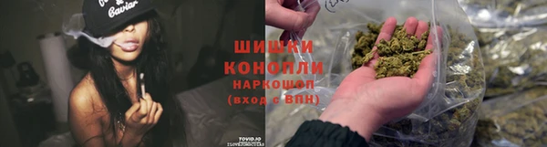 хмурый Пестово