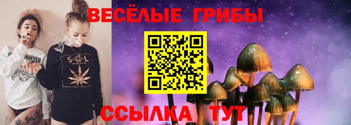 Галлюциногенные грибы мухоморы  Вход с VPN  Учалы 
